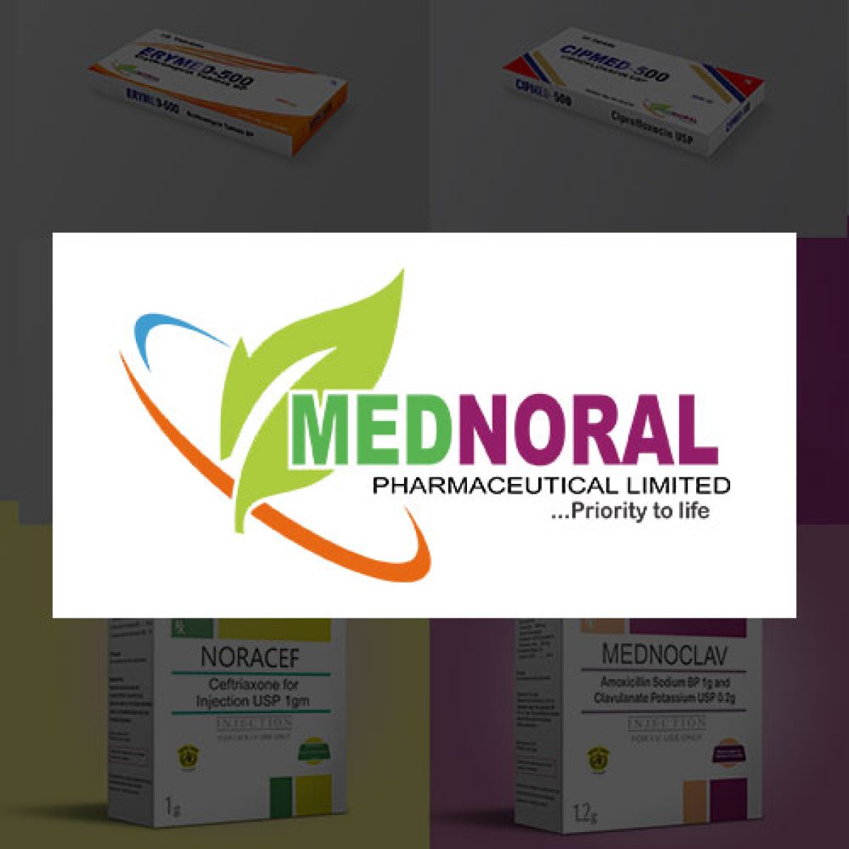 Mednoral Pharmaceuticals Limited portfolio project